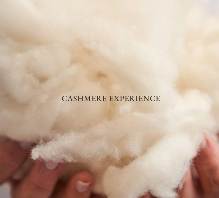 Cashmere Experience